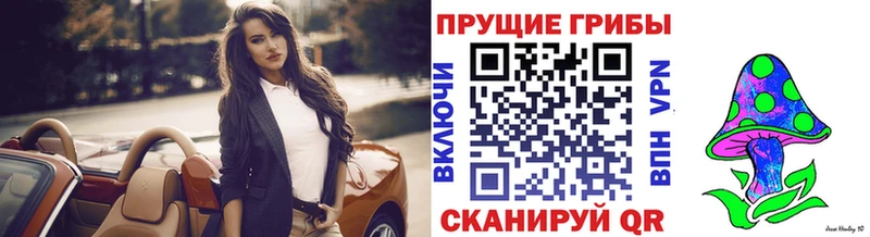 shop Telegram  сколько стоит  Нолинск  Псилоцибиновые грибы Cubensis 