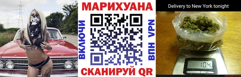 Каннабис план  купить  цена  Нолинск 